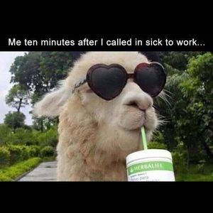 Meet your Posher, Robin